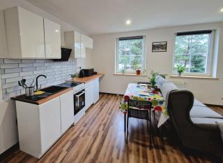 Apartament 5 minut od Parku Zamkowego - Pless - 6