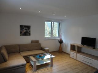Appartement Hubertus - Flachau - 1