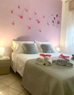 Butterfly House - Villaputzu - 7