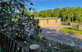 Gorgeous Home In Thale Friedrichsbrunn - Friedrichsbrunn - 3