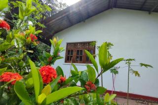 Cinnamon Villa - 6