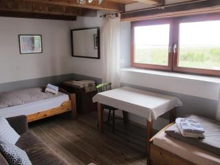 Hof Rickelsbüll - Nordseeurlaub auf dem Biobauernhof - Rodenäs - 8