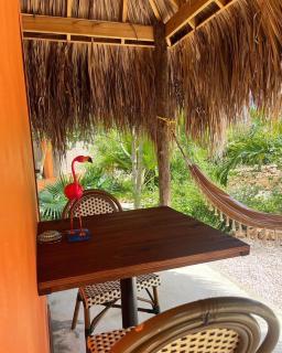 The Octopus Tropical Oasis - Dorp Sint Michiel - 7