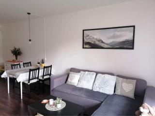 Apartmán u Tesáka - Říčky v Orlických horách - Říčky - 6