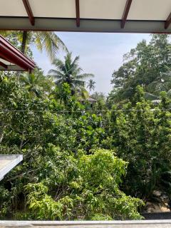 Jungle Escape Hiriketiya - 1