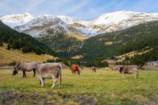 R Valle de Incles-Grandvalira FREE Parking - Canillo - 2