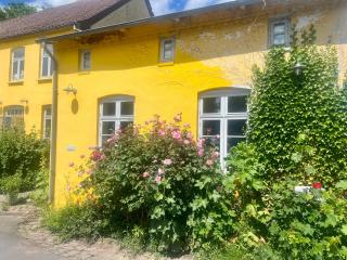 Lindenhof ChezArtistes - Loose - 2