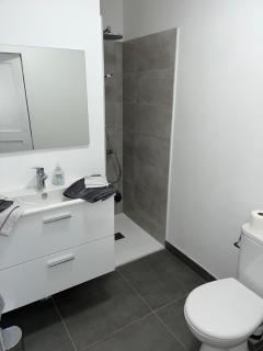 Studio indépendant dans maison individuelle - Nancy - 2