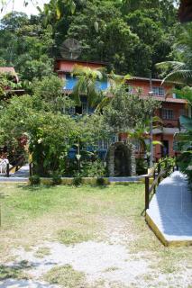 Pérola da Mata - 4