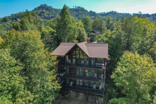 Castle in the Sky - Sevierville - 0