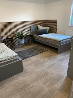 Tiger Apartment 2 - Sinsheim - 7