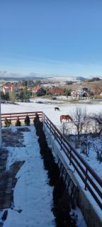 Vila Neda-Apartman Duga - Zlatibor - 9