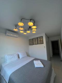 T2 Saint-Denis -Jardin de l'Etat - Saint-Denis - 1