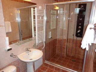 Hotel Manastir Berovo - Berovo - 1