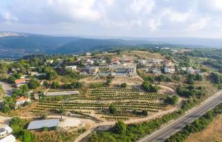 מטע וכרם - 4