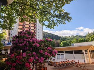 Familien Apartmenthotel Panoramic - Bad Lauterberg - 5