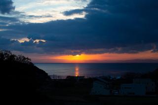 WORM - Awaji - 4
