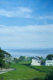 WORM - Awaji - 9