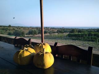 Spacious rustic country house with sea view - Marónia - 4