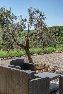 Exclusive Villa with pool Borgo Pian di Sala - San Gimignano - 6