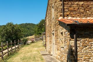 Agriturismo con piscina in Toscana, Tribbiano - Arezzo - 9