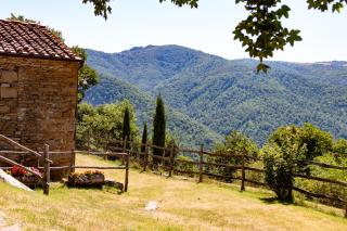 Agriturismo con piscina in Toscana, Tribbiano - Arezzo - 8
