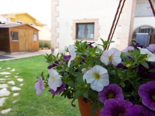 Casa Rural Figueroa - Jábaga - 1