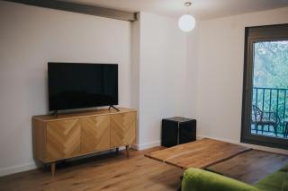Fabrica Apartments 22 - Cluj-Napoca - 2