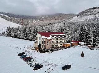 COLT de RAI PADINA-BUCEGI - 0