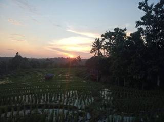 Obrigado Jungle Villas - Airsatang - 1
