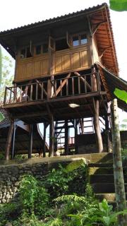 Obrigado Jungle Villas - Airsatang - 9