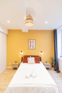 Luz - Appartement hyper centre Saint-Etienne - 1