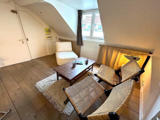 Le Penthouse Picardie - Parijs - 5