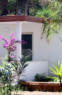 Camping Serenella - 7