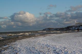Möwennest - Ahrenshoop - 1