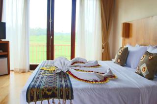 Manyi Village Ubud - 9