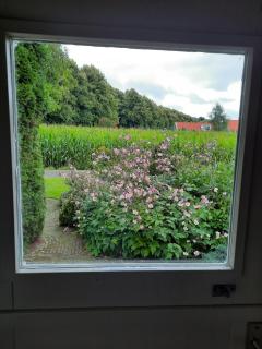 Vledderstee - Vledderveen - 8