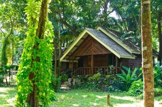 Khao Sok Riverside Cottages - Parco Nazionale di Khao Sok - 7