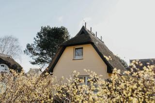 Haus Seestern - Althagen - 7
