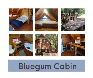 Plett Forest Cabins - Plettenberg Bay - 1