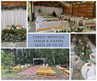 Plett Forest Cabins - 5