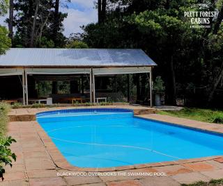 Plett Forest Cabins - 2
