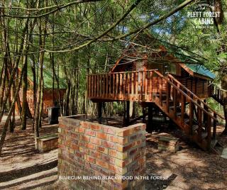 Plett Forest Cabins - 0