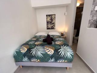 Studio jungle chic - Le Tampon - 3