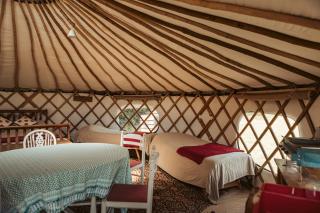 Willow Yurt - 2