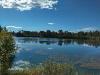 Mosti`s Häuschen am See - 7