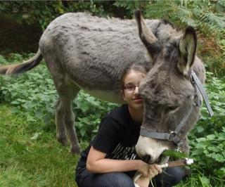 Gîte Ardoisine - La Gacilly - 6