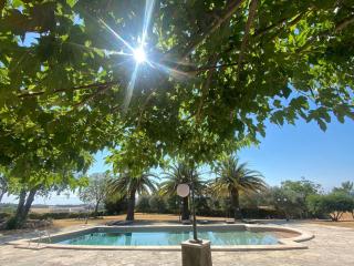 Mas Feliu Turismo Rural - 6