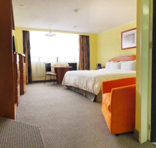 Hotel Real del Sur - Città del Messico - 3