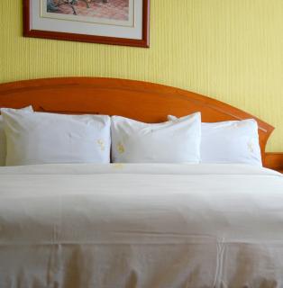 Hotel Real del Sur - Città del Messico - 2